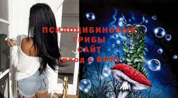 первитин Богородицк