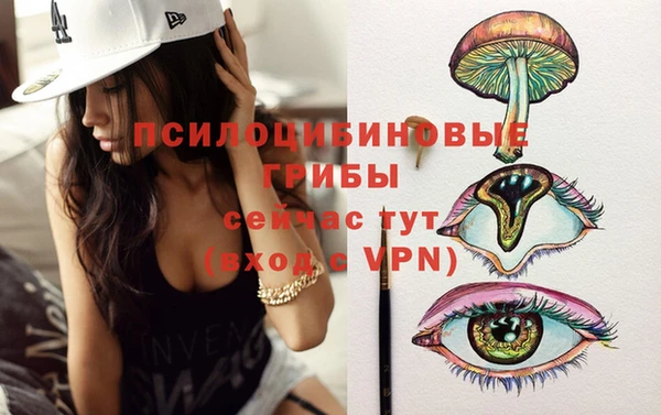 дурь Богданович